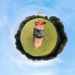 Pet Harness Mount Size L - Insta360 Store