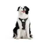 Pet Harness Mount Size L - Insta360 Store