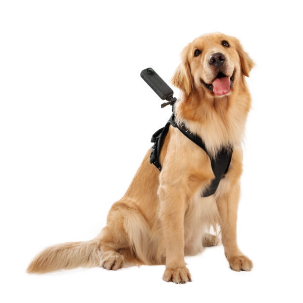 Pet Harness Mount Size L - Insta360 Store