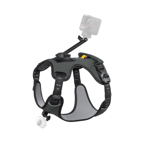 Pet Harness Mount Size L - Insta360 Store