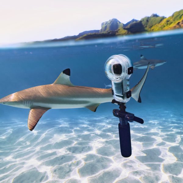 X5 Series Dive Buddy - Insta360 Store